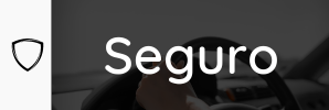 Quiénes Somos 2 auto seguro